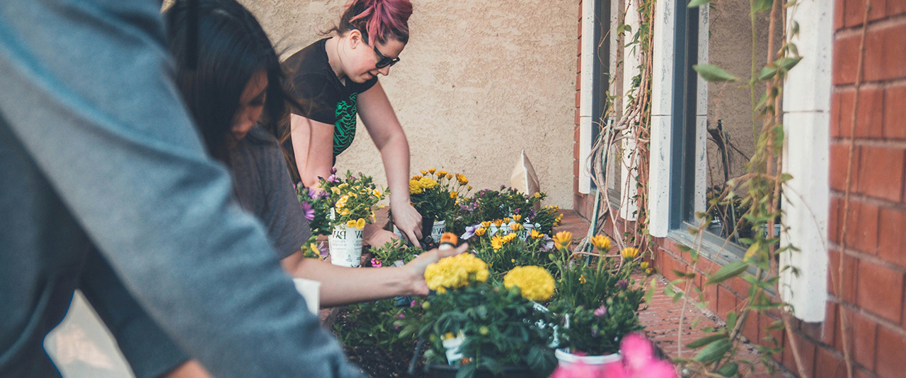 Tre personer står utomhus vid en huvägg och planterar blommor i olika färger och former.